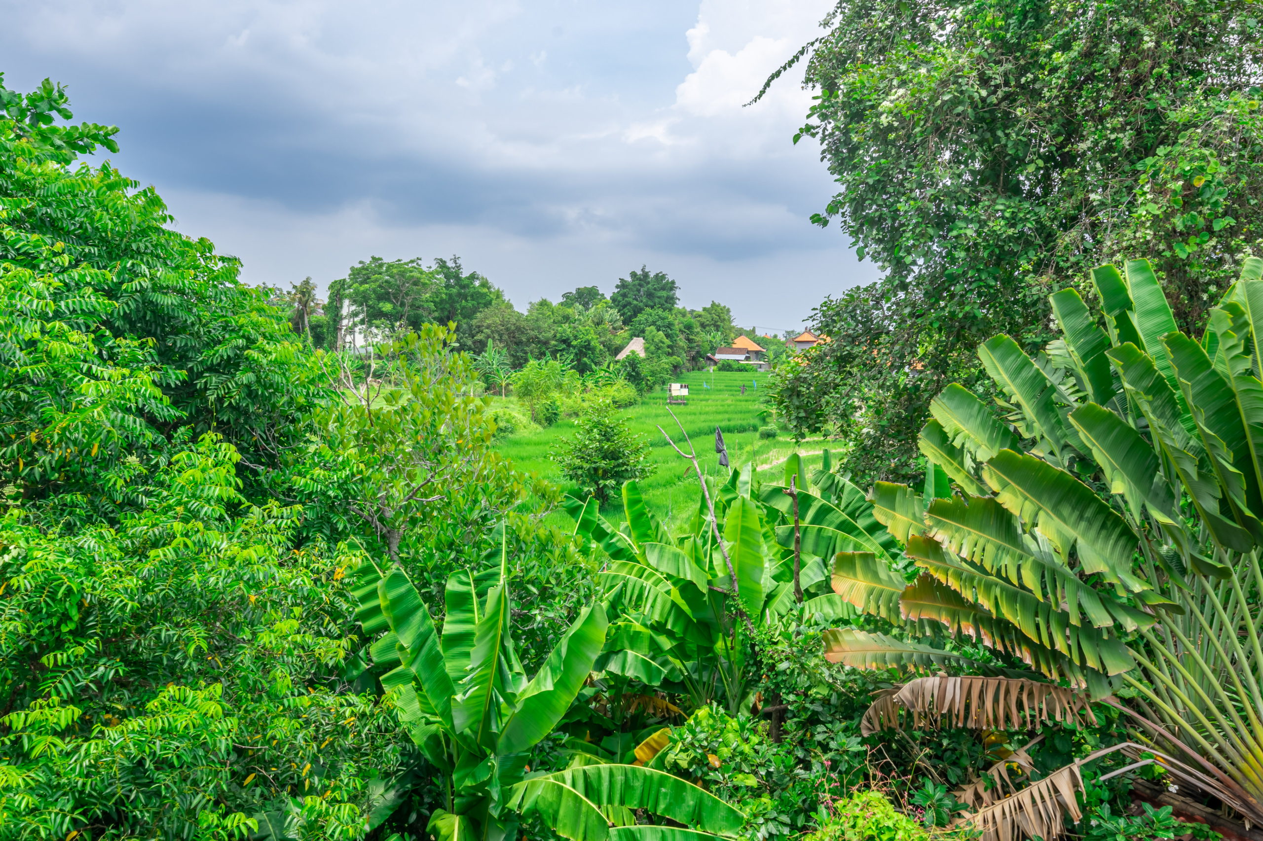 bali-counselling