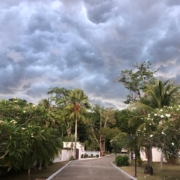 wellness retreat bali