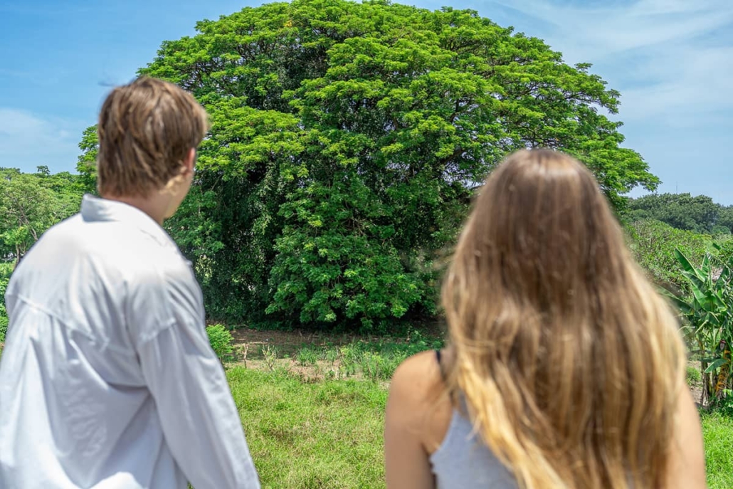 somatic-therapy-bali