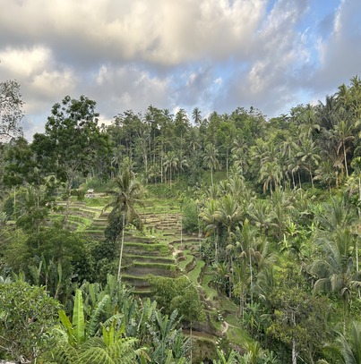 mental-health-retreat